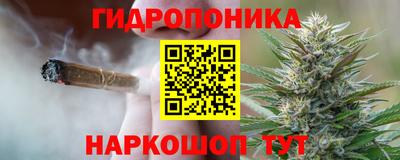 a pvp Пушкино