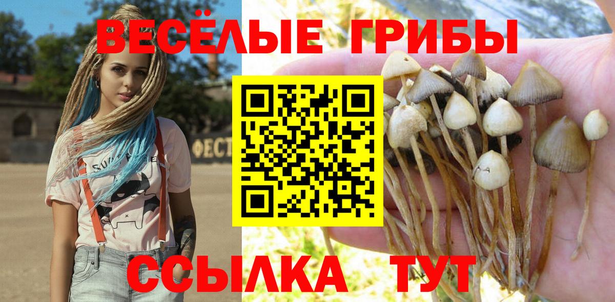 Сердобск  Галлюциногенные грибы MAGIC MUSHROOMS  Галлюциногенные грибы GOLDEN TEACHER  Вход с VPN 